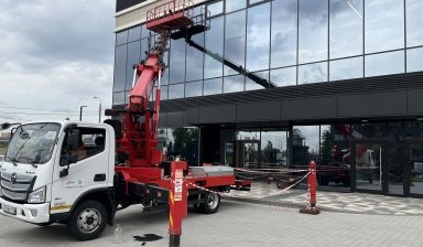 Компания Жираф