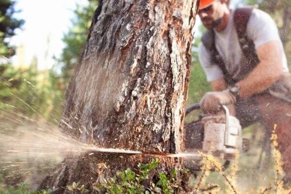 Винокуров Антон