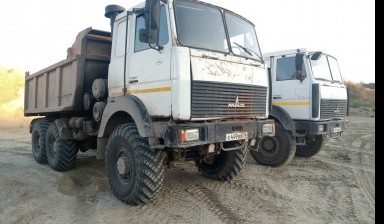 Палеев Н. А.