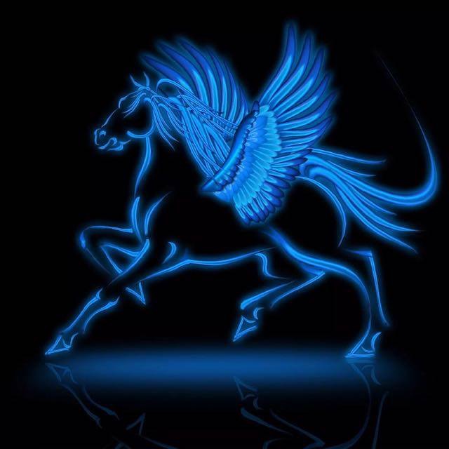 Пегас СпецСтрой