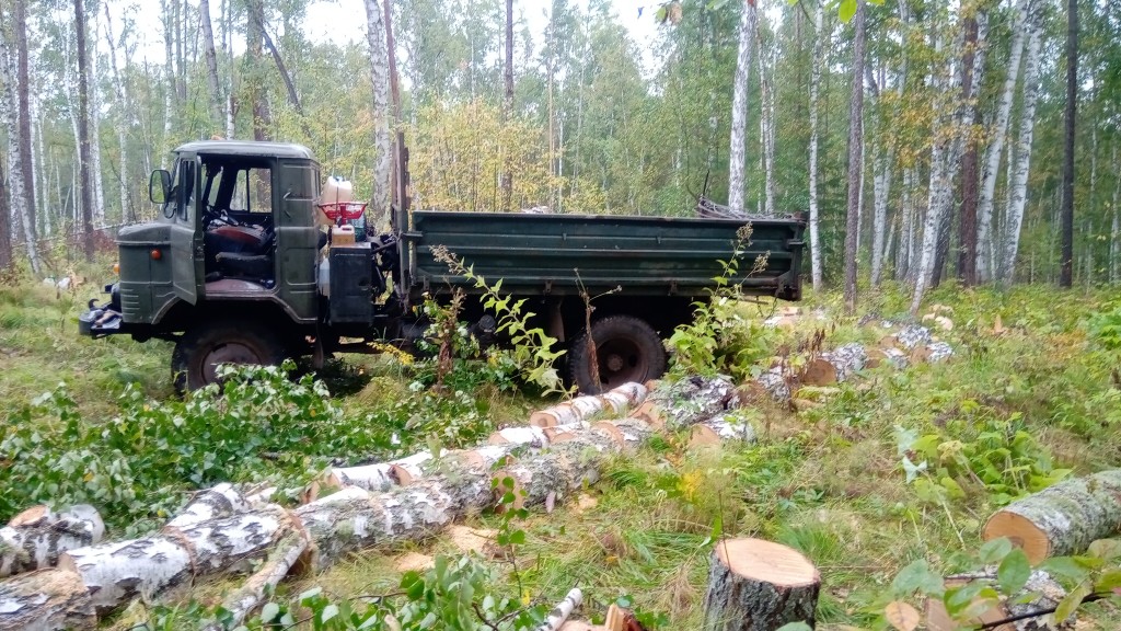 Дрова от собственника Вячеслав