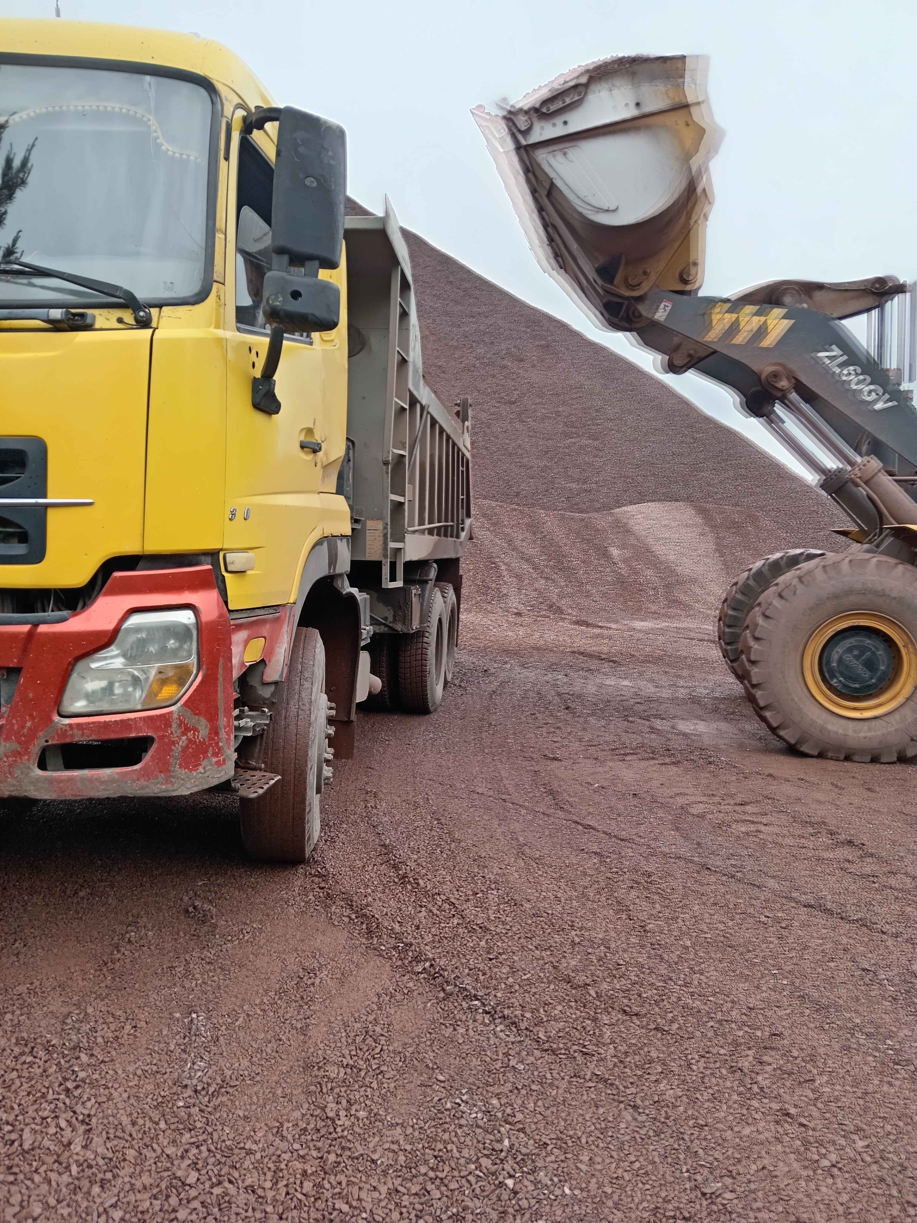 Аренда самосвала для перевозки