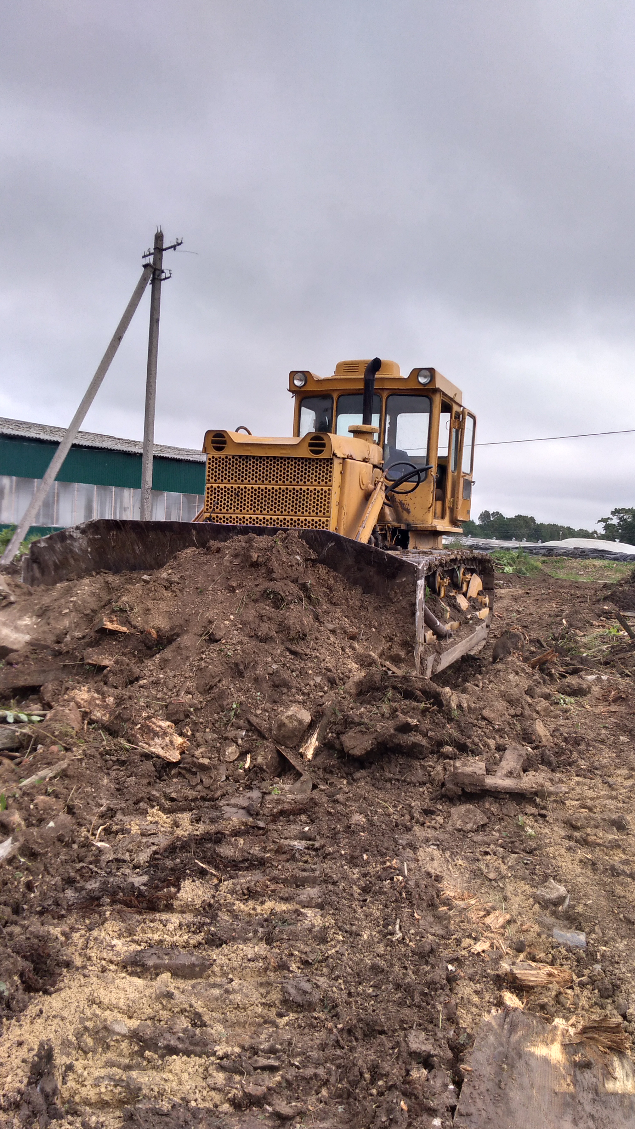 Аренда бульдозера. планировка участка.
