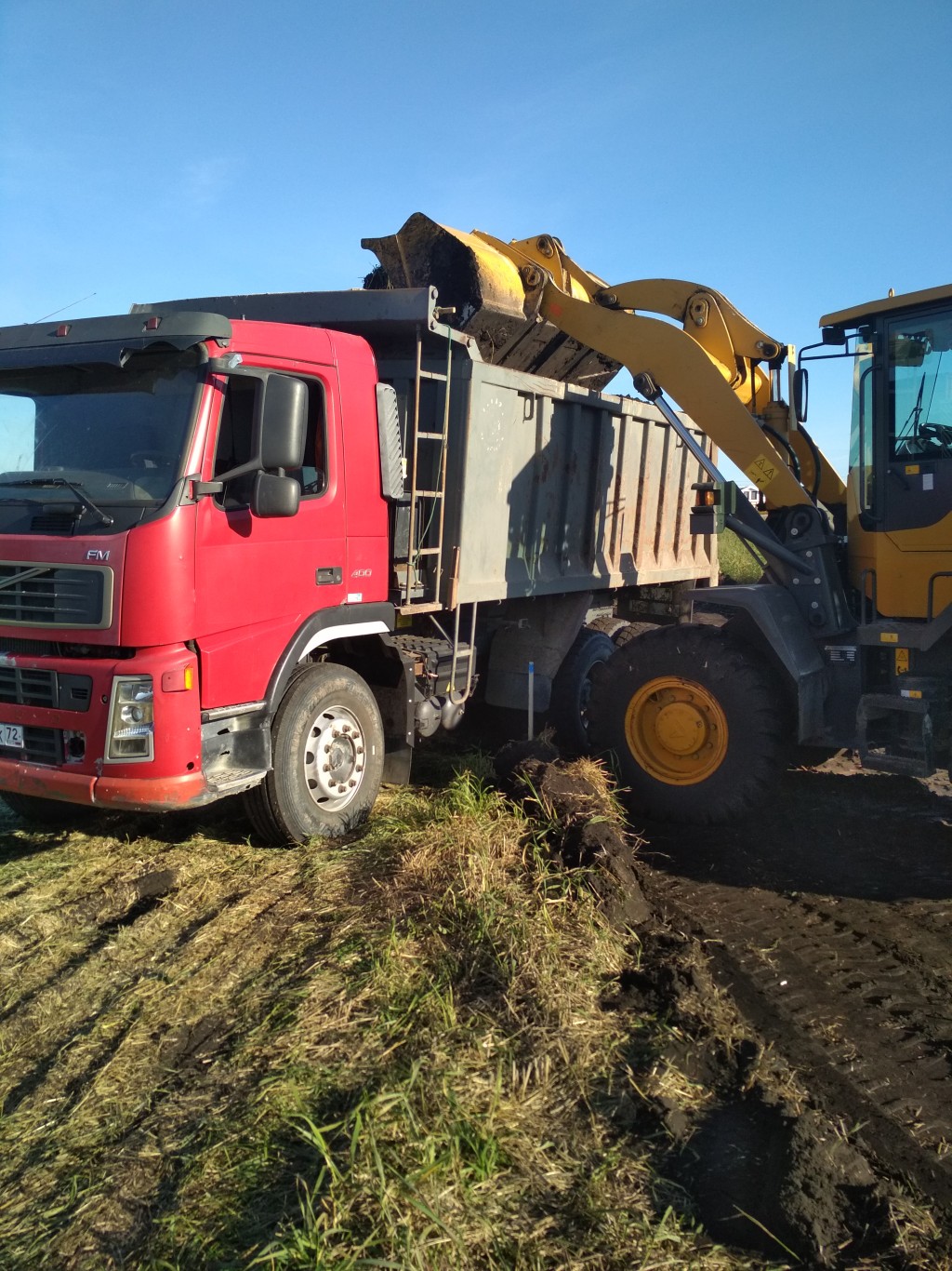 Аренда самосвалов. 5 единиц техники