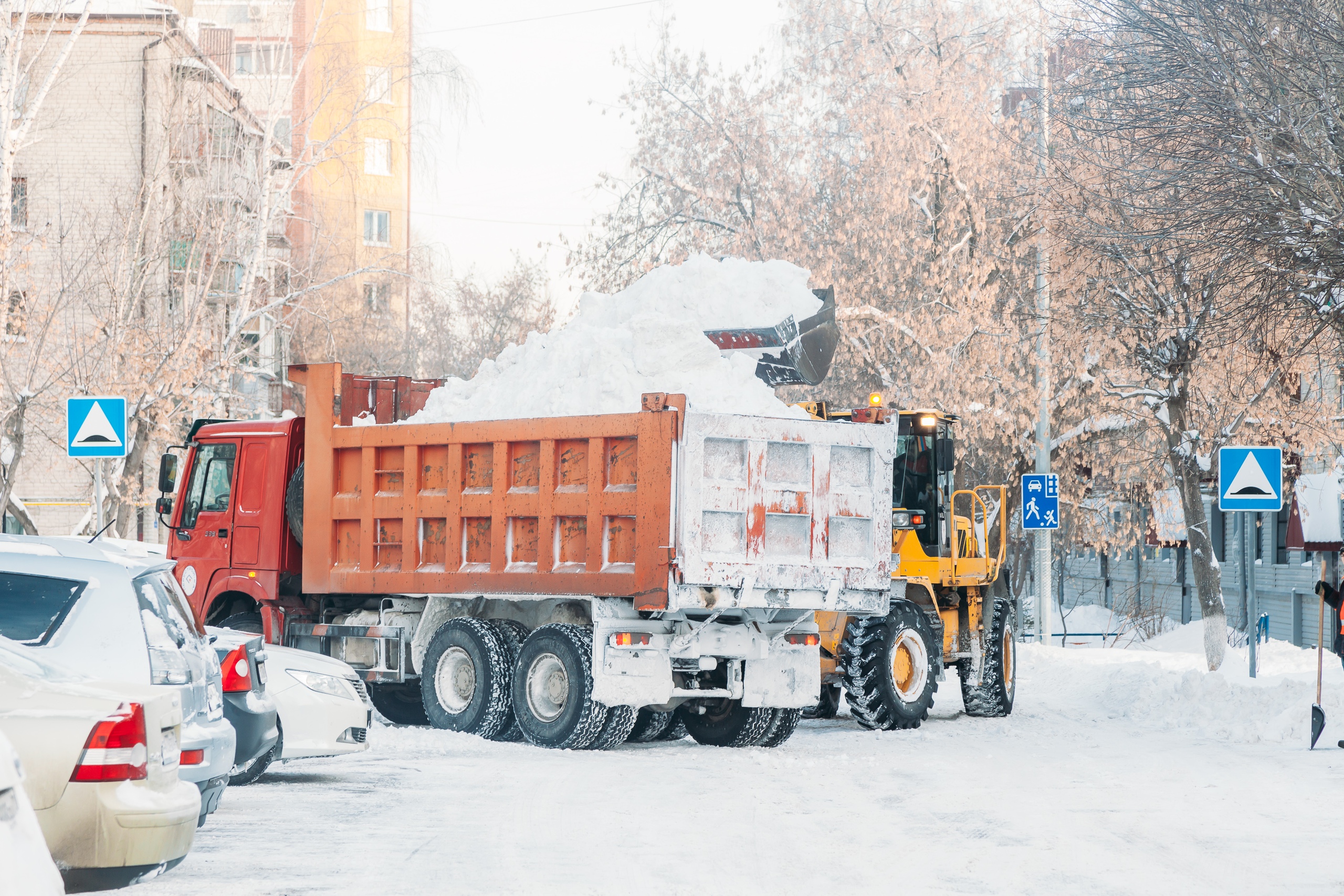 Самосвалы 5 единиц аренда. Перевозка 35 кубов.
