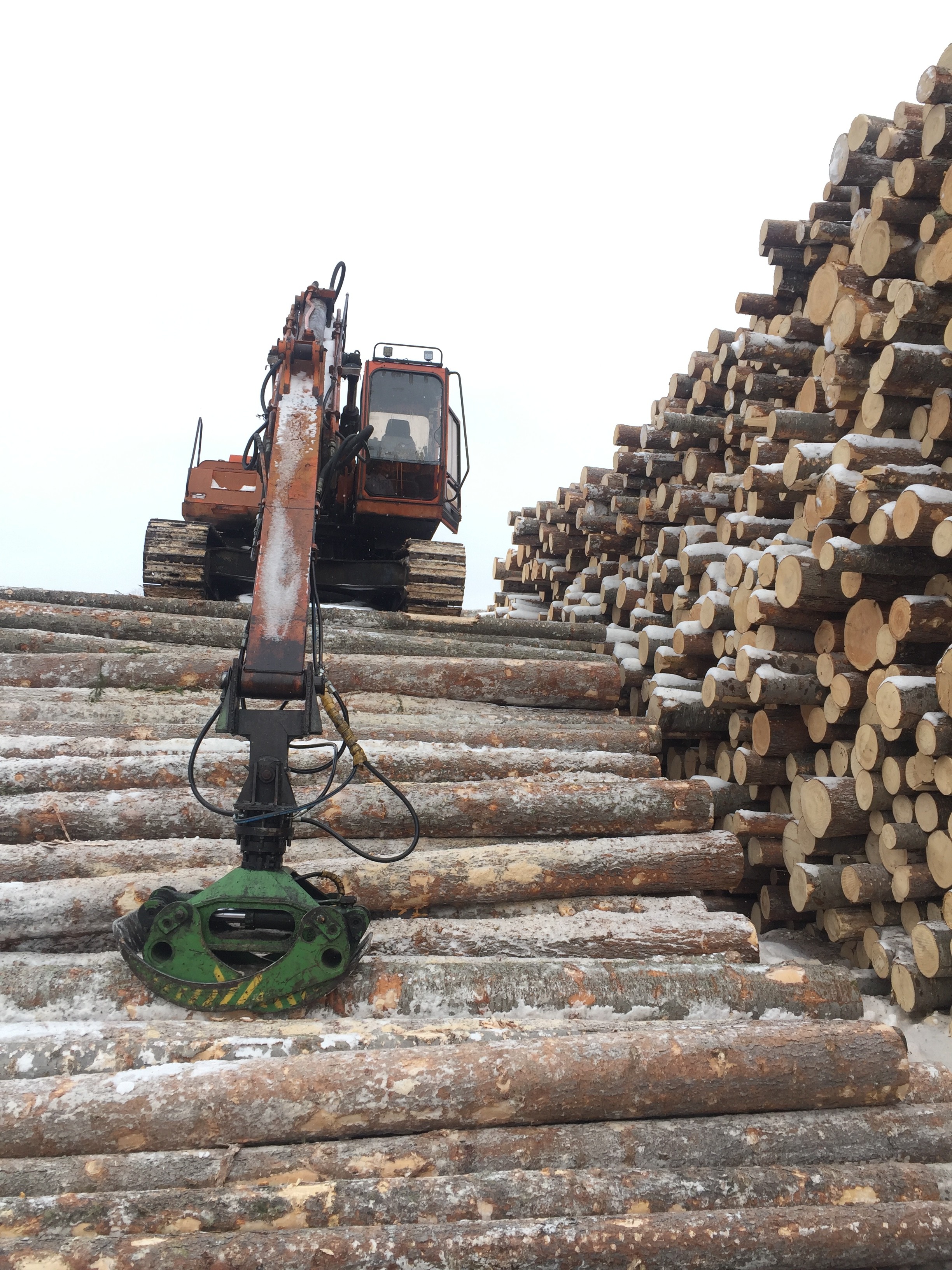 Аренда экскаватора: услуги, заказ.