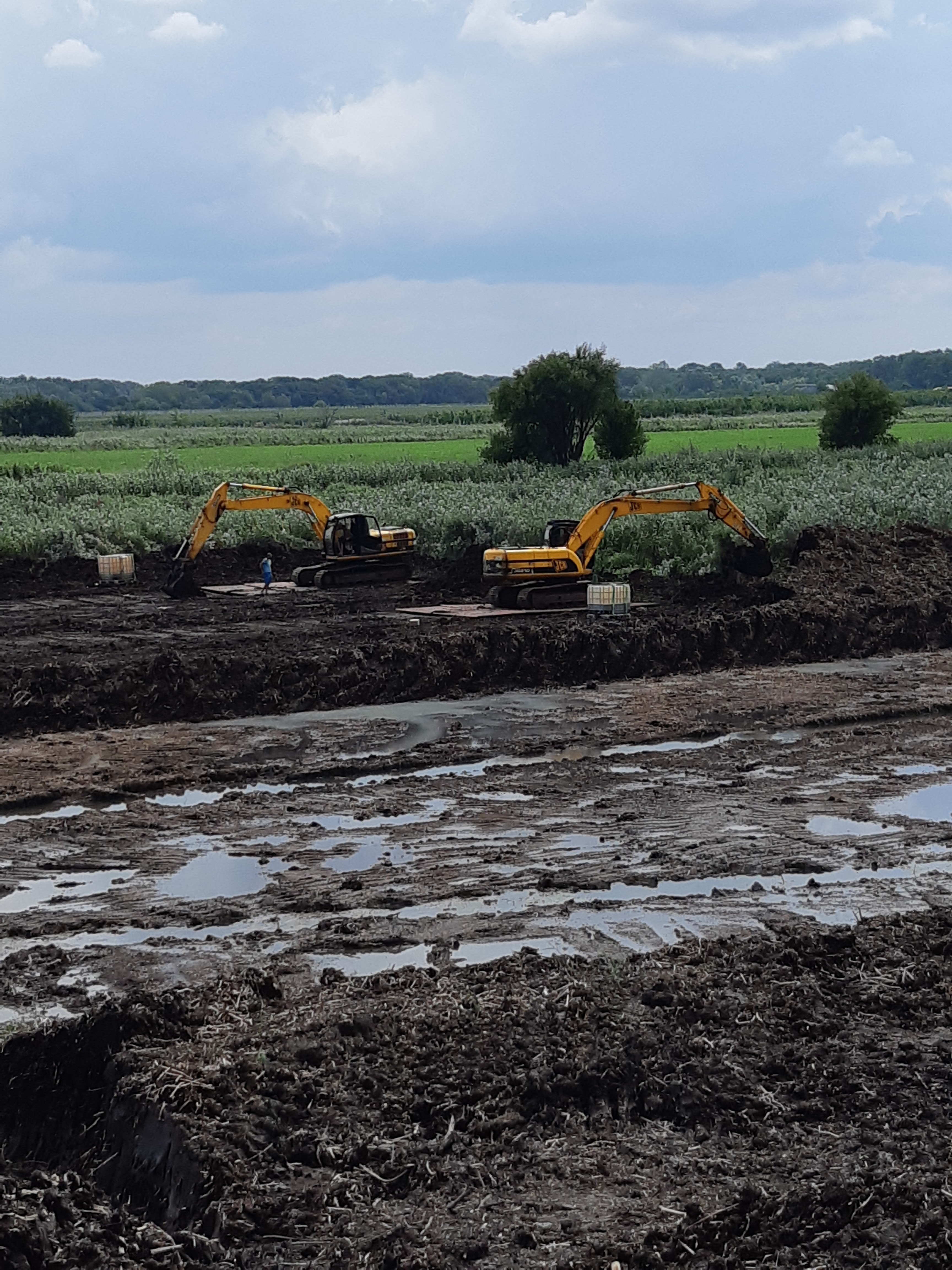 Услуги гусеничных экскаваторов