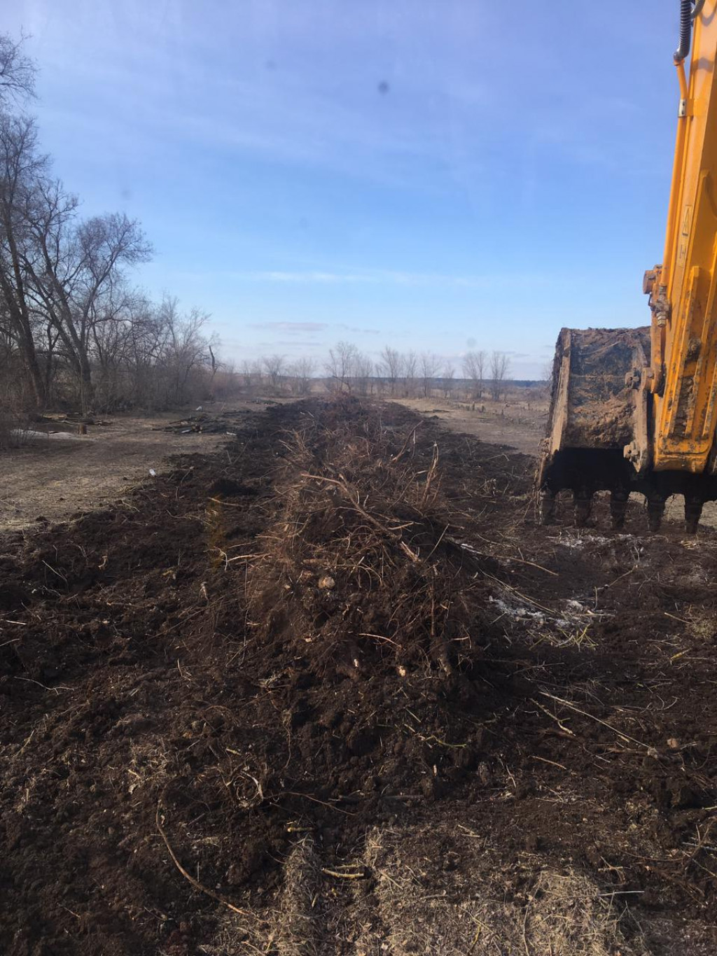 Изображение 3