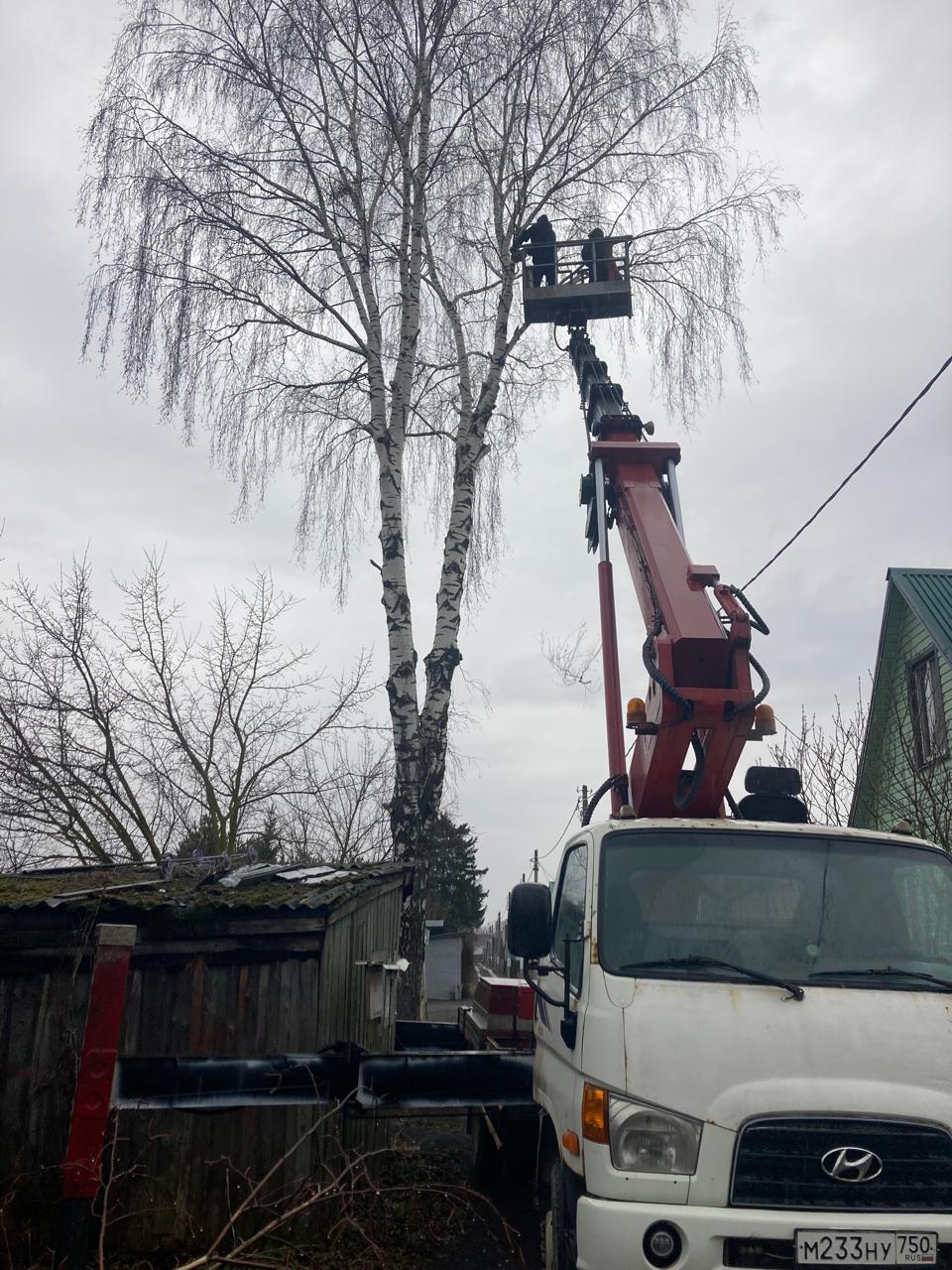 Изображение 4