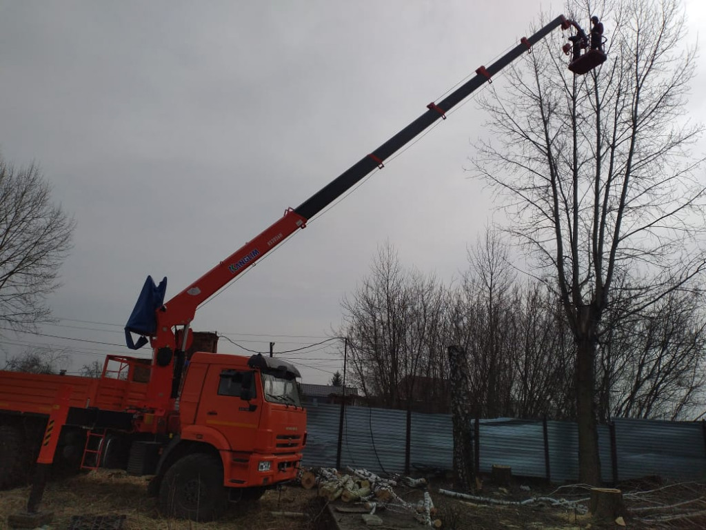 Изображение 4