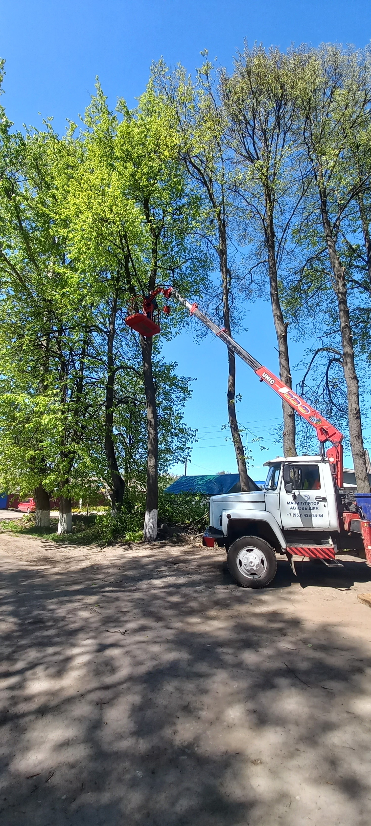 Изображение 3