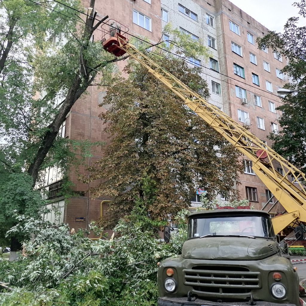 Изображение 4