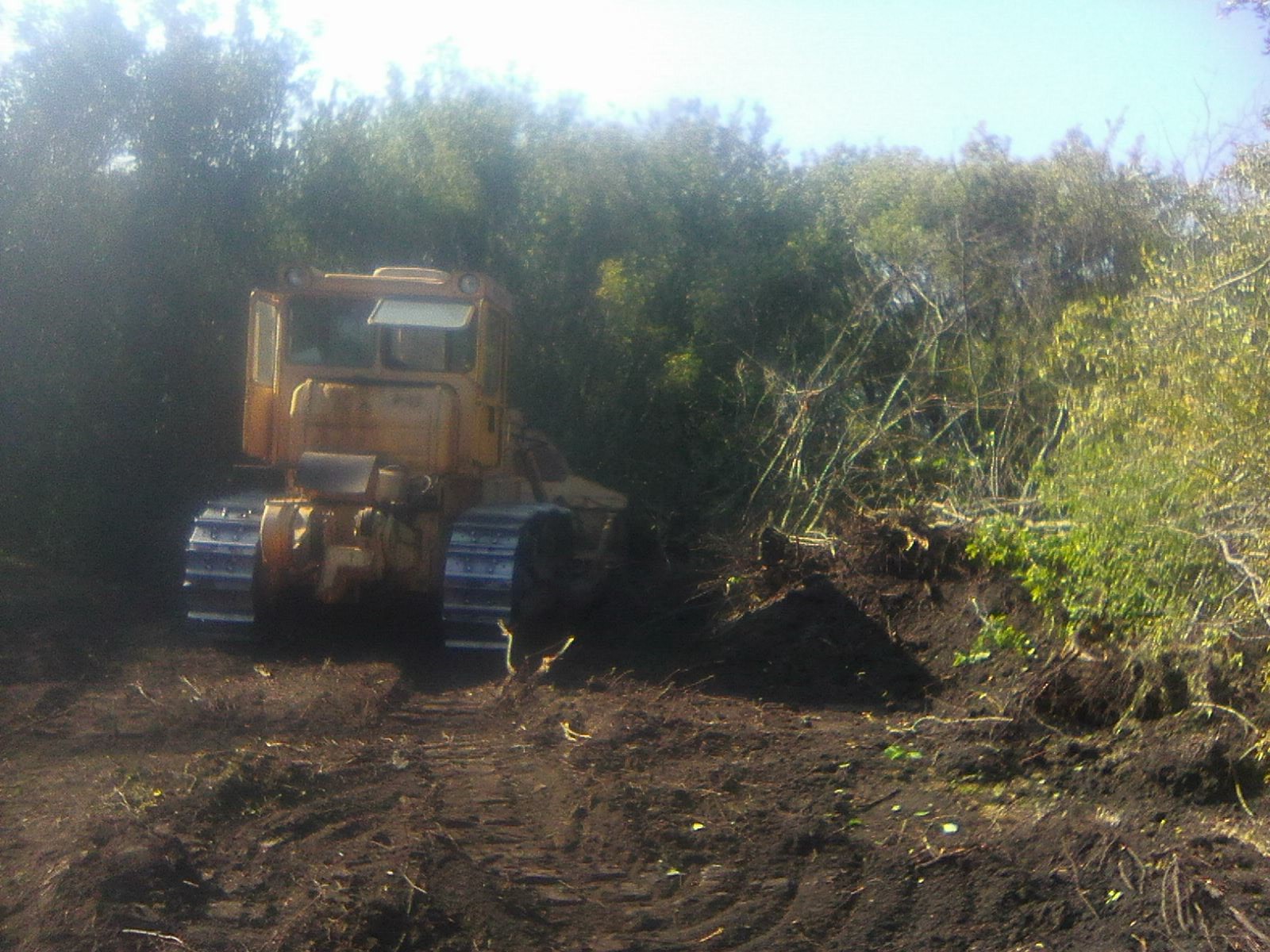 Бульдозер от собственника Саша