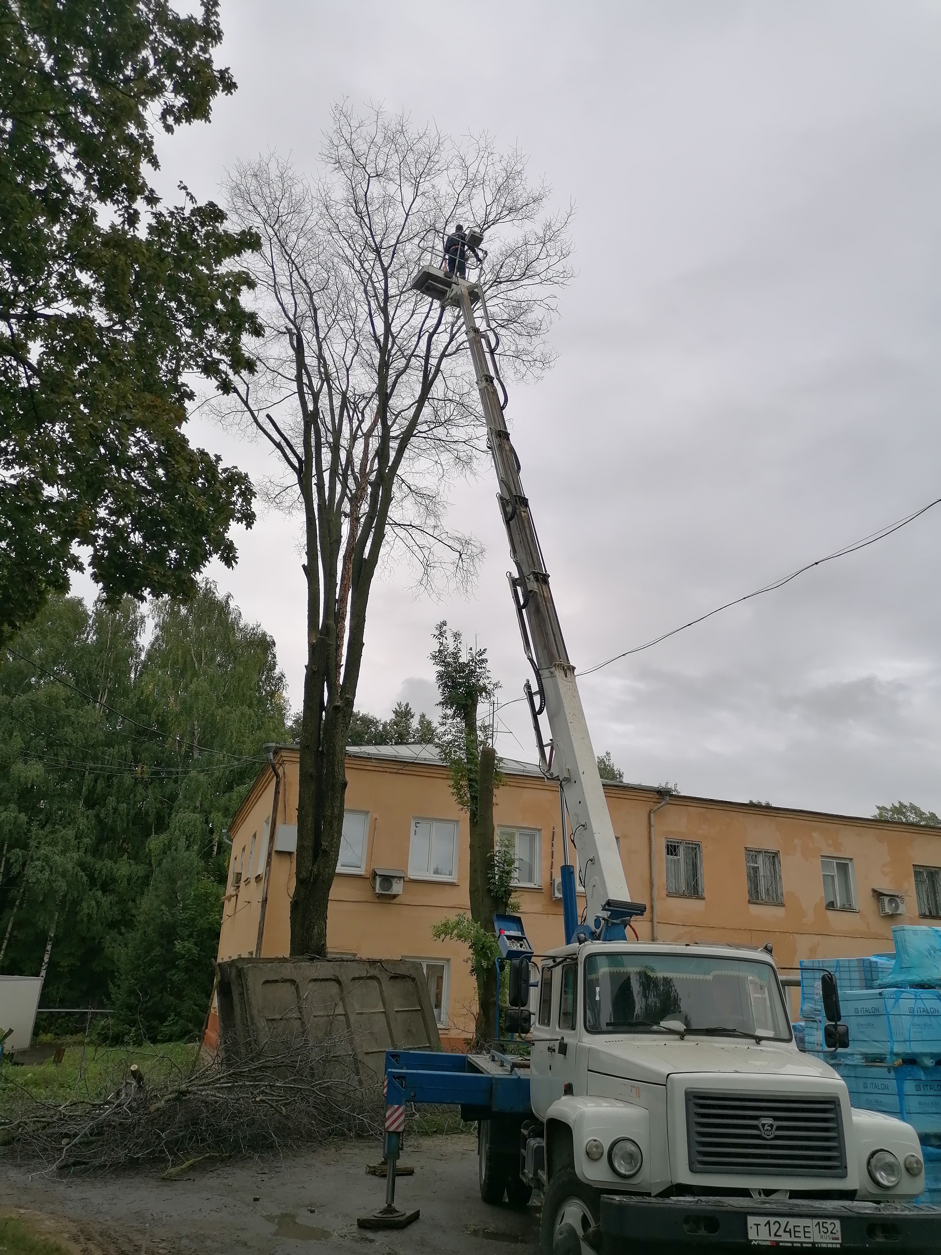 Услуги автовышки, телескопическая