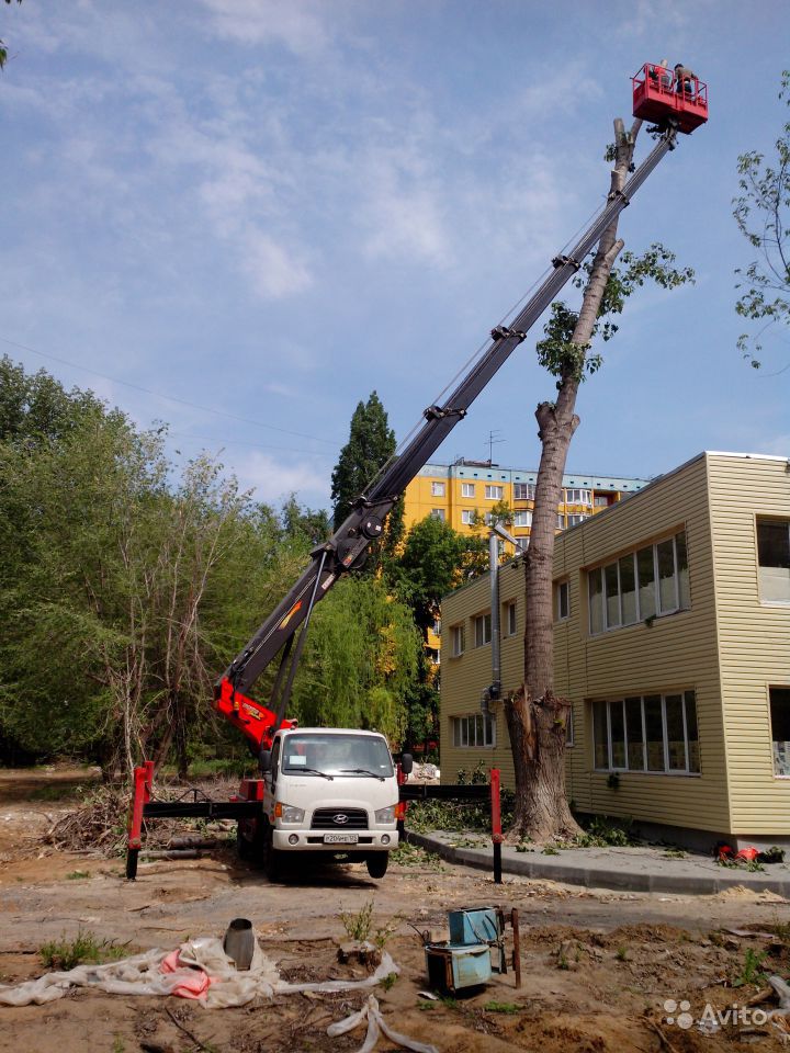 Изображение 4