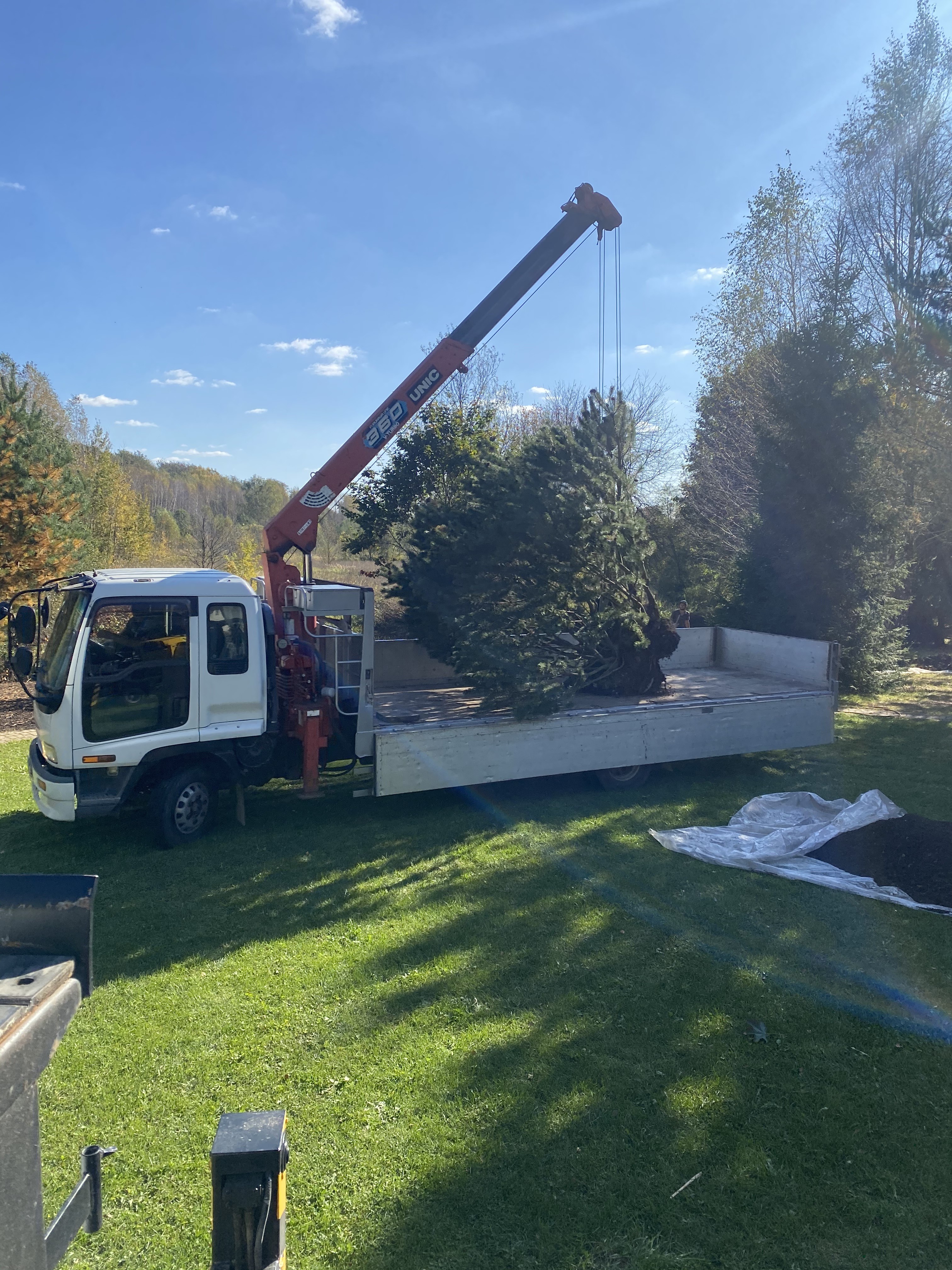 Услуги манипулятора Люлька/ корзина