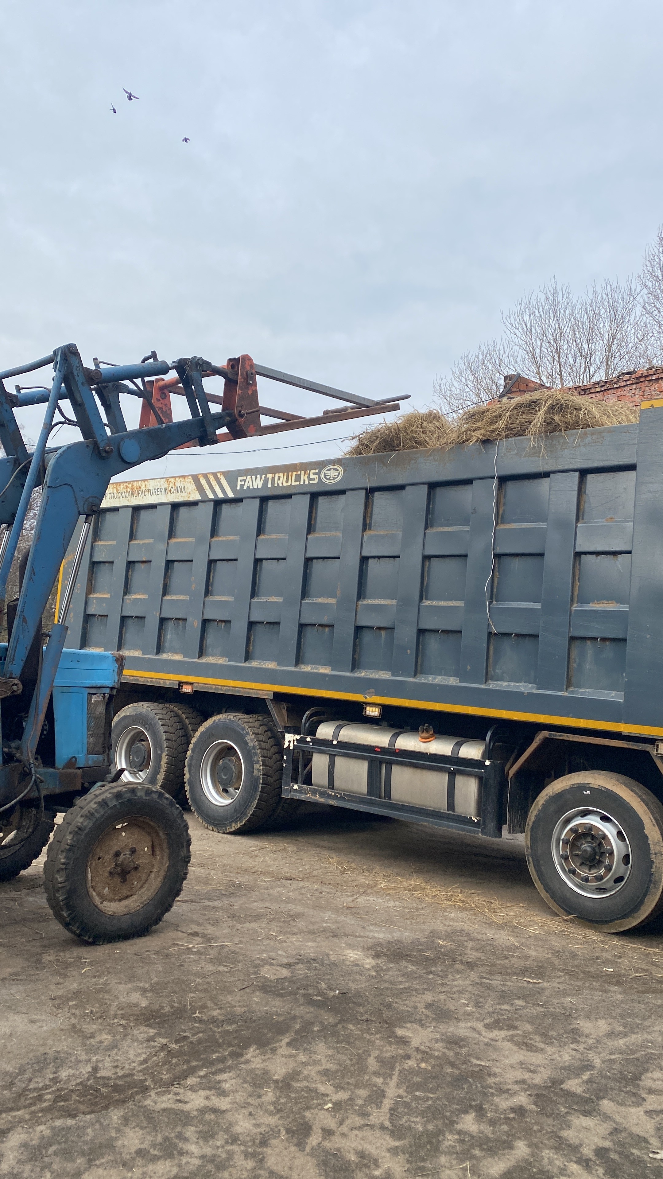 Изображение 3