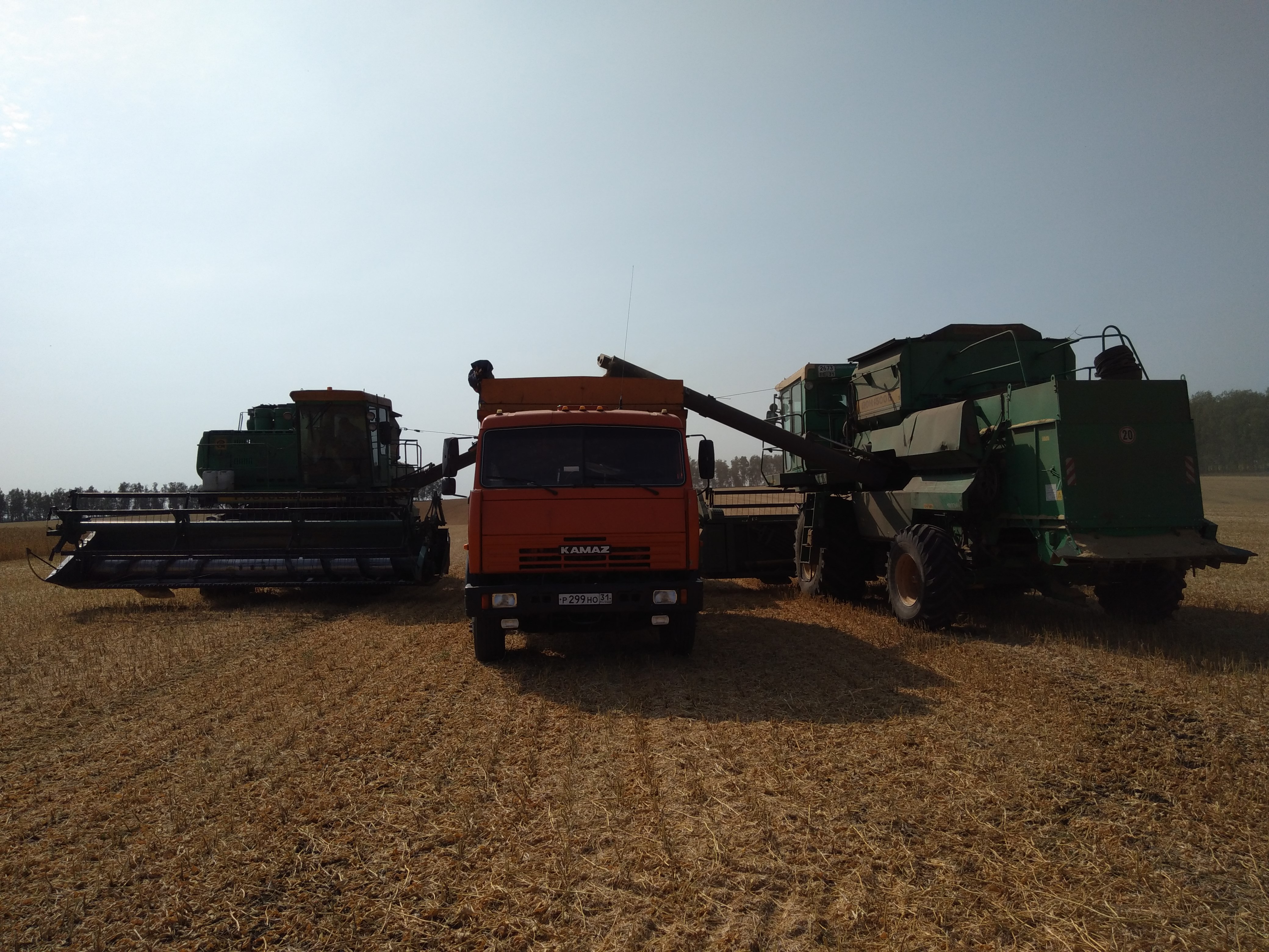 Изображение 2