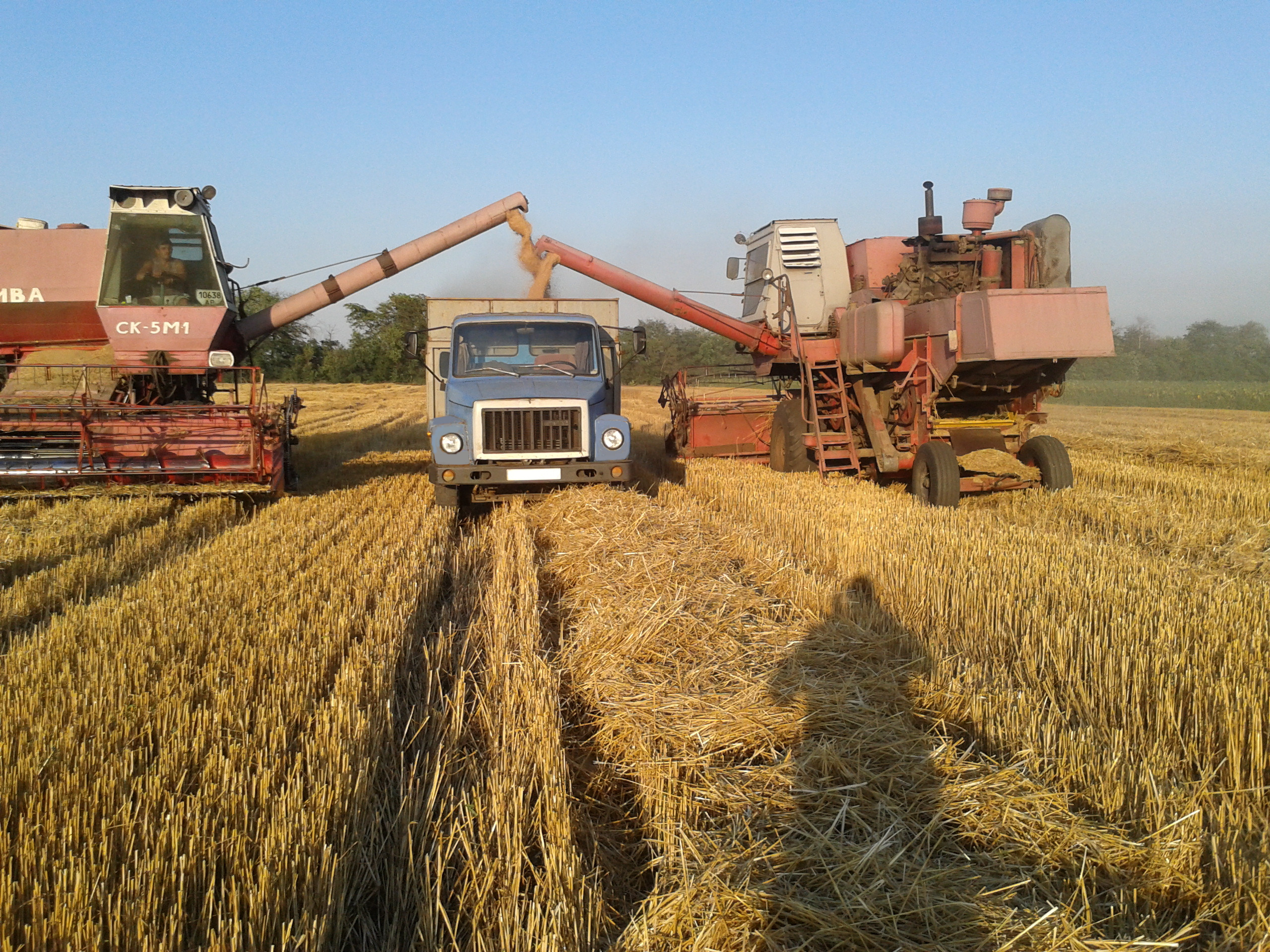 Самосвал, зерновоз, борт.