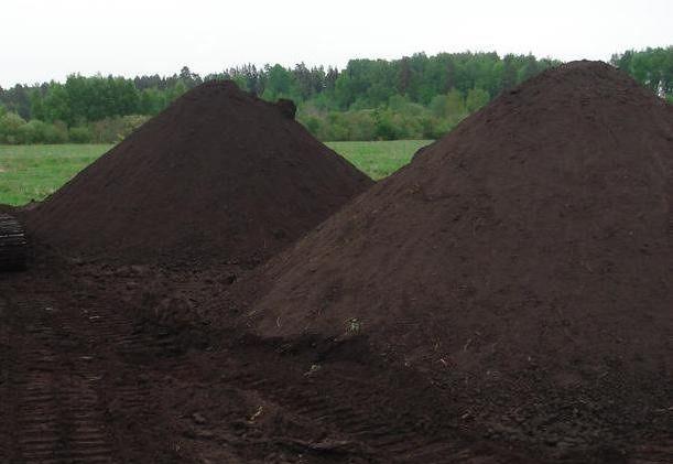 Доставка чернозема. Услуги самосвала.