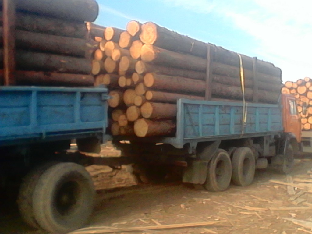 Камаз5511 колхозник с прицепом