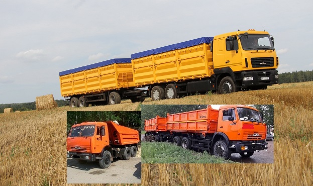 Грузоперевозки зерна, угля и др услуги самосвала .