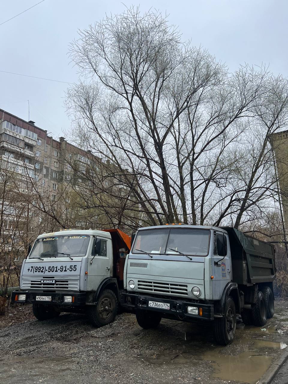 Основное изображение